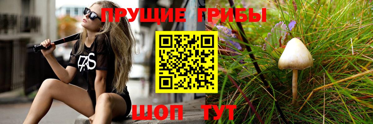 Псилоцибиновые грибы прущие грибы Малоярославец