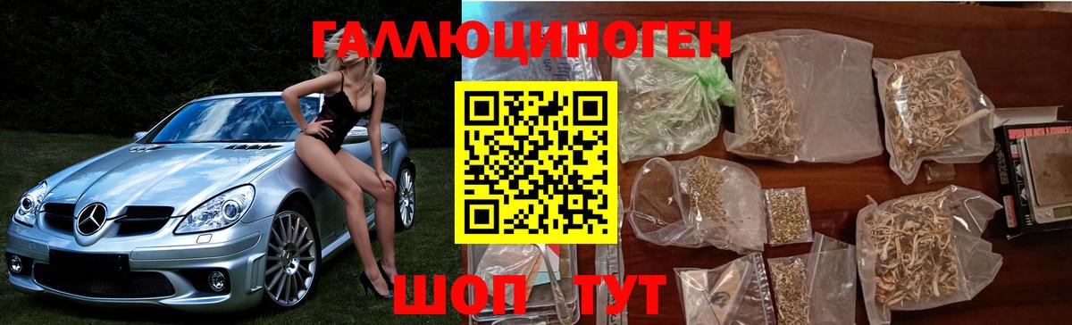 Малоярославец  Псилоцибиновые грибы мицелий  Вход с VPN  Псилоцибиновые грибы мухоморы 